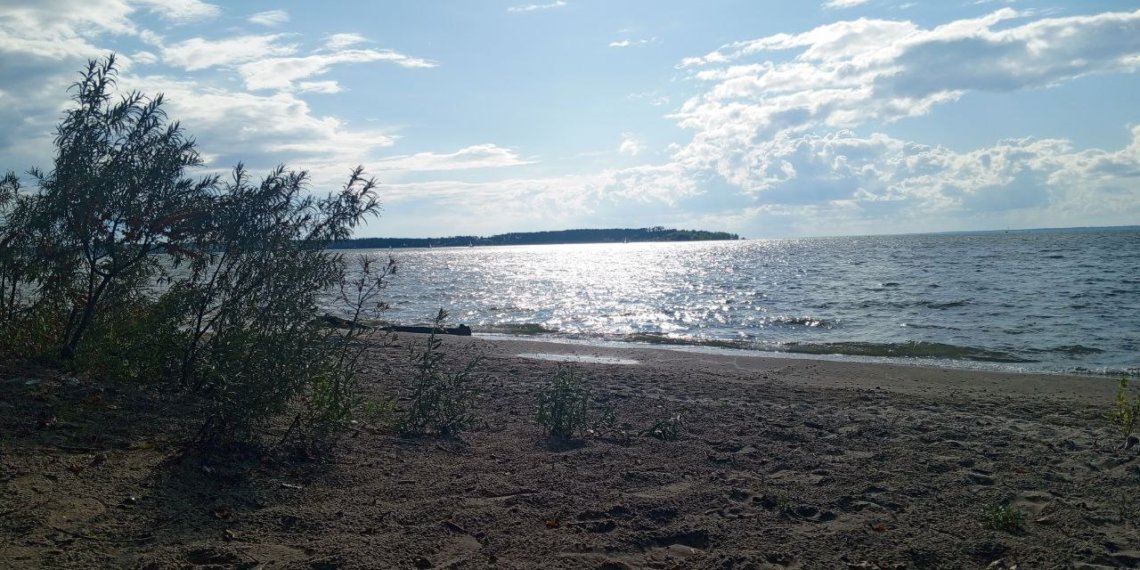 Акция по уборке береговой линии пройдёт в Новосибирской области