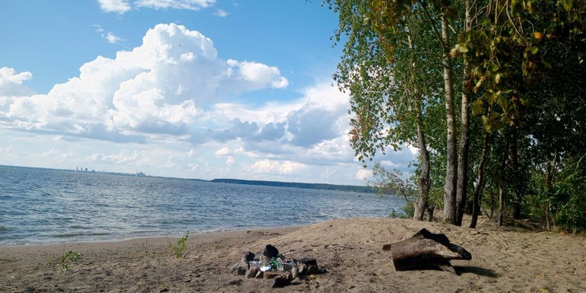 Новосибирская область вошла в топ-5 регионов России по активности волонтёров на конкурсе «Общий сбор» в рамках акции «Вода России»