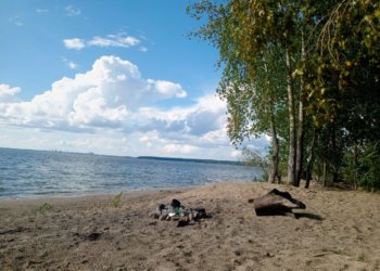 Новосибирская область вошла в топ-5 регионов России по активности волонтёров на конкурсе «Общий сбор» в рамках акции «Вода России»