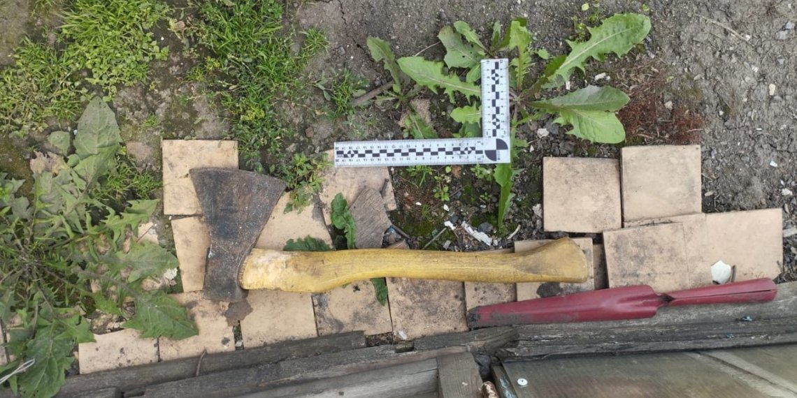 Житель Новосибирской области пытался убить собственную мать