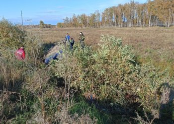 Водитель «Daewoo Matiz» слетел в кювет и погиб в Новосибирской области