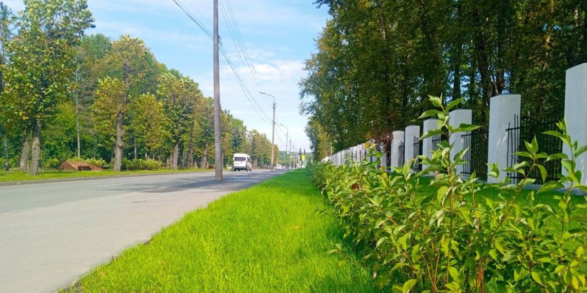 Масштабное озеленение: более 10 тысяч деревьев и кустарников высадят до конца года в Новосибирске