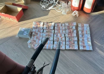 Железнодорожные пути за 6,5 миллионов рублей похитил коммерсант из Новосибирска