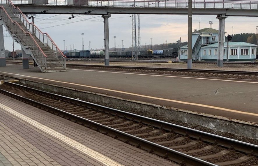 Срок за покупку диплома получил житель НСО