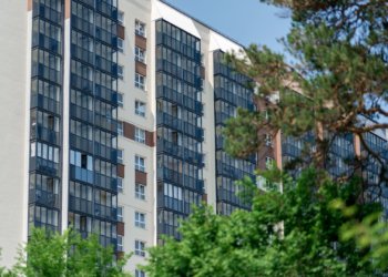 Комфорт мегаполиса и природа у порога: особенности жизни в поселке Кудряшовский