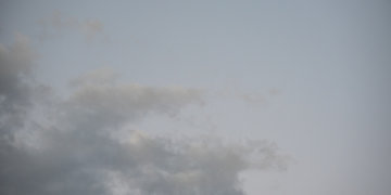 Завод на Толмачёвском шоссе уличили в выбросах после жалоб на запах гари в Чистой Слободе