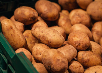 Цены на картофель в Новосибирской области обвалились на треть после сбора нового урожая