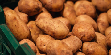 Цены на картофель в Новосибирской области обвалились на треть после сбора нового урожая