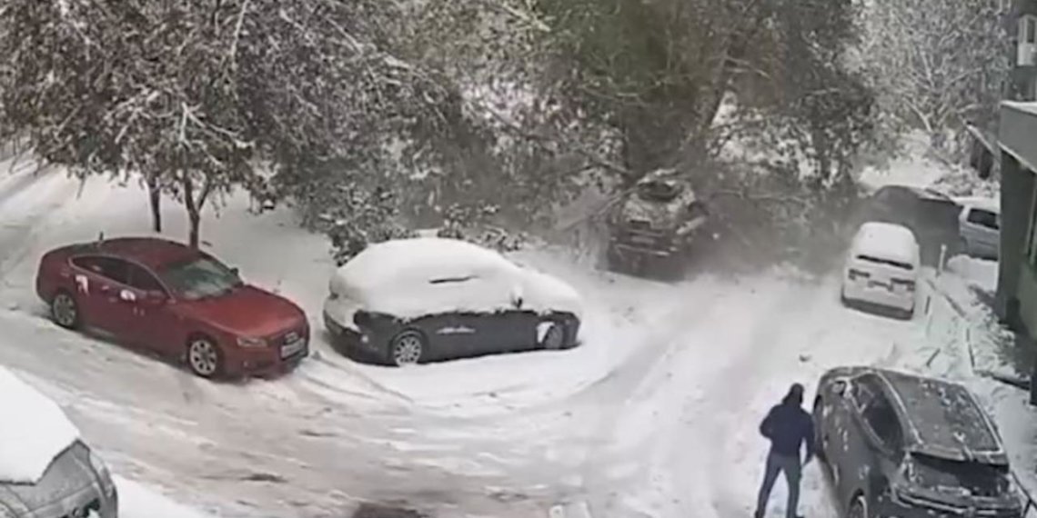 В Новосибирске дерево рухнуло на машину с младенцем внутри