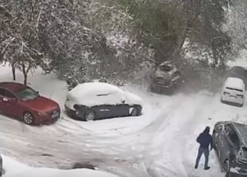 В Новосибирске дерево рухнуло на машину с младенцем внутри