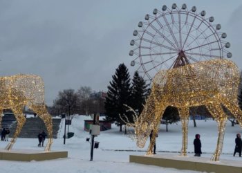 Новосибирцев ждут рекордно длинные новогодние выходные