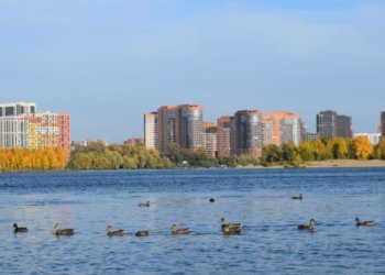 Более 30 жизней унесла вода: Травников потребовал срочно исправить ошибки в подготовке пляжей в Новосибирской области