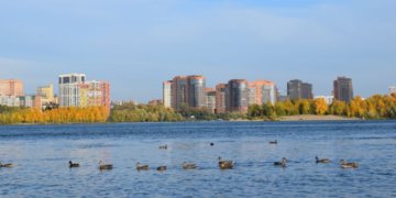 Более 30 жизней унесла вода: Травников потребовал срочно исправить ошибки в подготовке пляжей в Новосибирской области