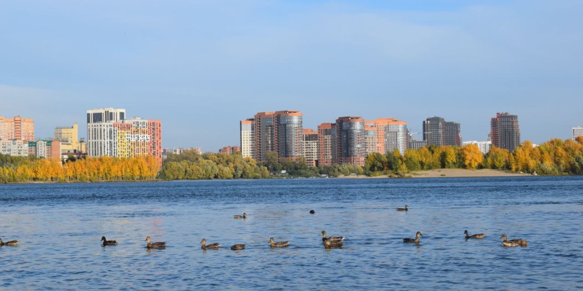 Более 30 жизней унесла вода: Травников потребовал срочно исправить ошибки в подготовке пляжей в Новосибирской области