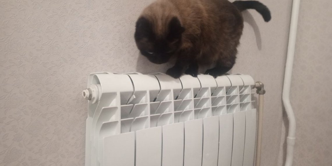 Мэр Новосибирска потребовал привлечь прокуратуру к работе с управляющими компаниями