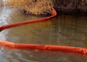 Разлив 25 тонн рапсового масла привел к загрязнению Оби — инцидент проверит прокуратура