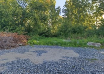 Двух новосибирцев будут судить за похищение несовершеннолетней