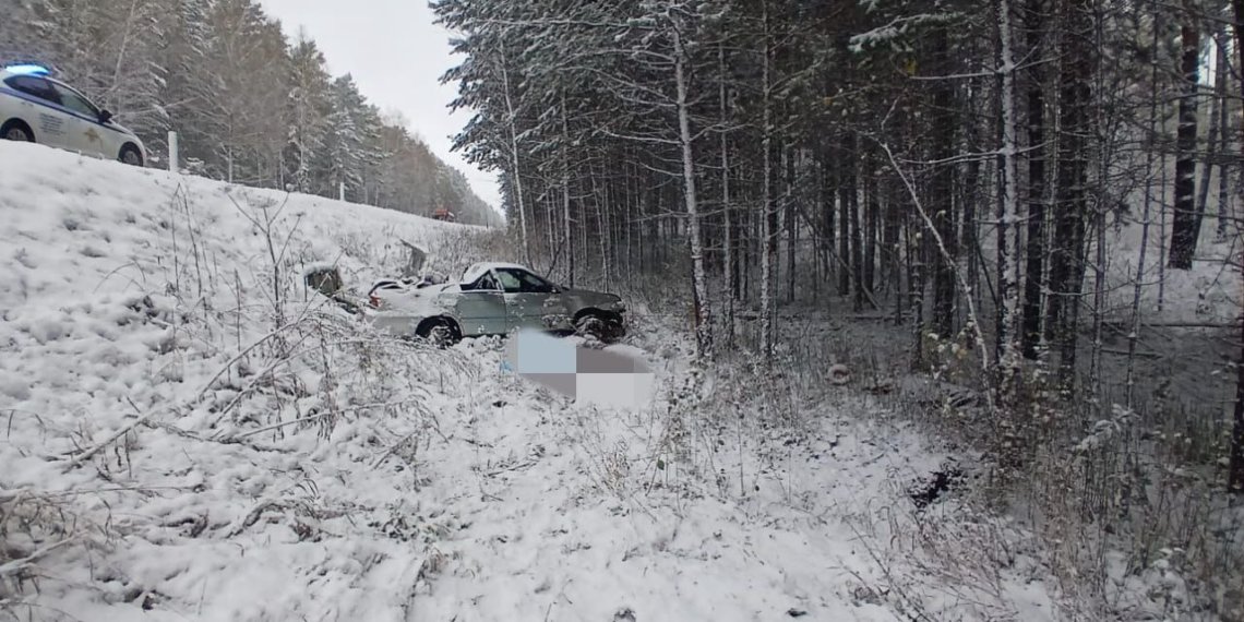 «Тойота» вылетела с трассы и врезалась в дерево под Новосибирском — водитель погиб