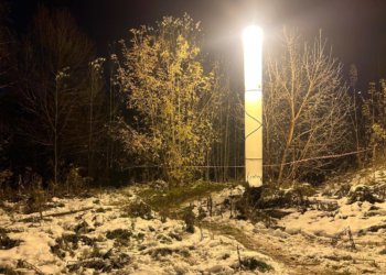 Школьница родила и зарезала младенца в Барнауле