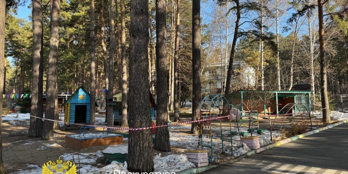 В новосибирском детсаду скрыли падение дерева на ребенка