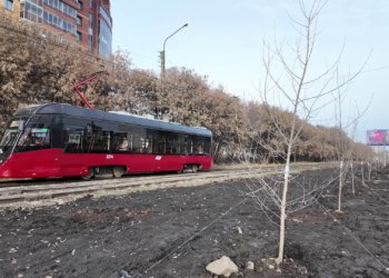 В мэрии рассказали о благоустройстве вдоль Гусинобродского шоссе — что делают?