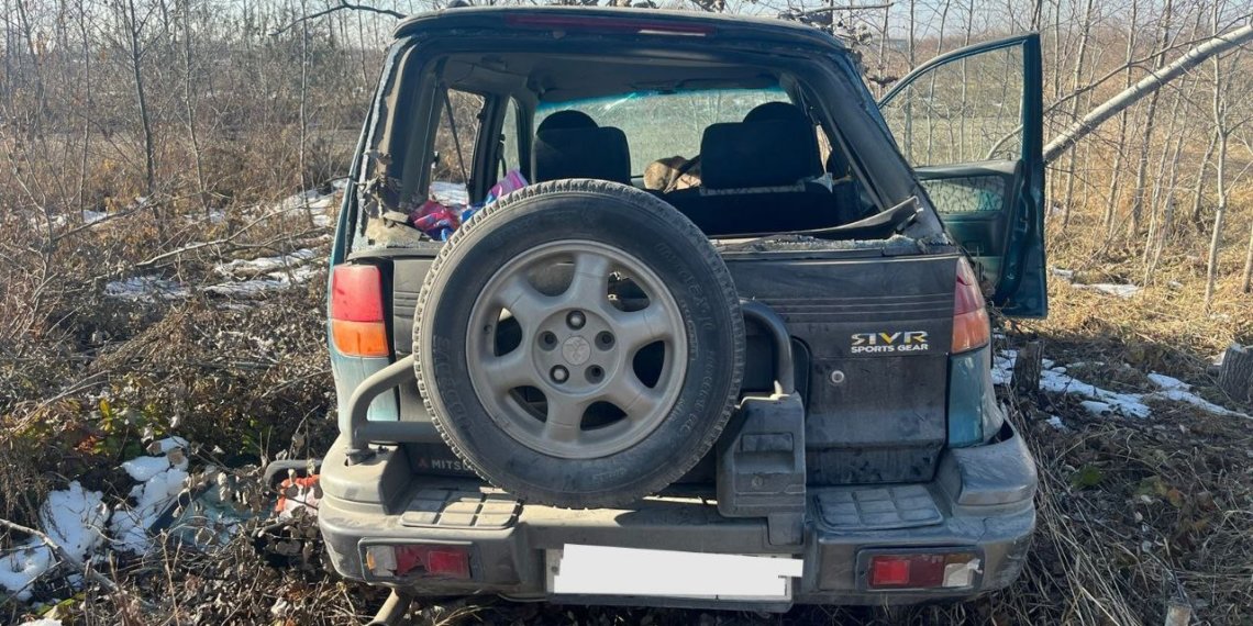 Водитель погиб при опрокидывании Мitsubishi под Новосибирском