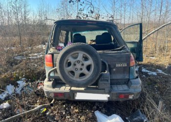 Водитель погиб при опрокидывании Мitsubishi под Новосибирском