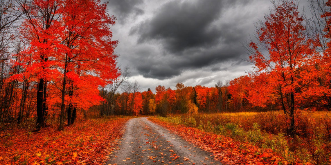 Стабильная облачность: прогноз погоды в Новосибирске на 24 октября 2025 года