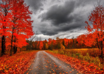 Стабильная облачность: прогноз погоды в Новосибирске на 24 октября 2025 года