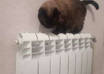 Все многоквартирные дома подключили к отоплению в Новосибирске