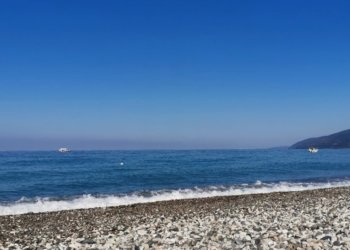 Сократить отпуска и новогодние каникулы предложили в России