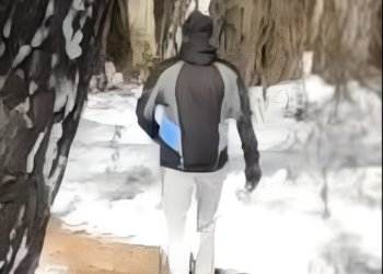 Ударил в висок и по лицу: в Новосибирске мужчина устроил охоту на женщин с собаками