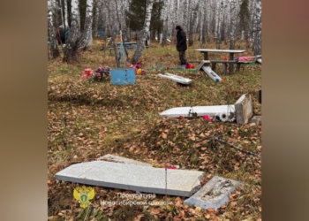 Дети разгромили кладбище в Новосибирской области