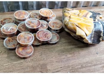 Браконьера с уловом на 20 миллионов задержали в Красноярском крае