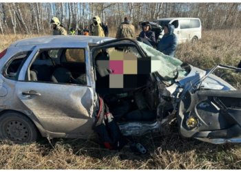 Мужчина погиб в страшном ДТП в Новосибирской области