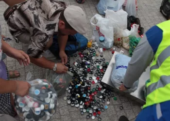 Обменять крышки и батарейки на мороженое смогут новосибирцы 4 октября