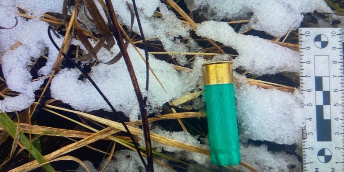 Двух охотников на лосей задержали в Новосибирской области