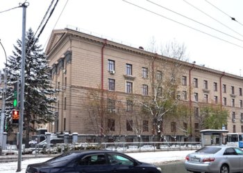 В Заельцовском районе Новосибирска аварийные деревья заменят новыми липами