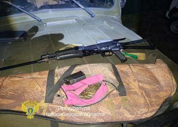 Убивший самку лося охотник предстанет перед судом в Новосибирской области