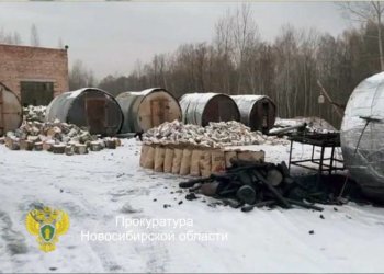 «Черным» лесорубам вынесли приговор в Новосибирской области