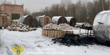 «Черным» лесорубам вынесли приговор в Новосибирской области
