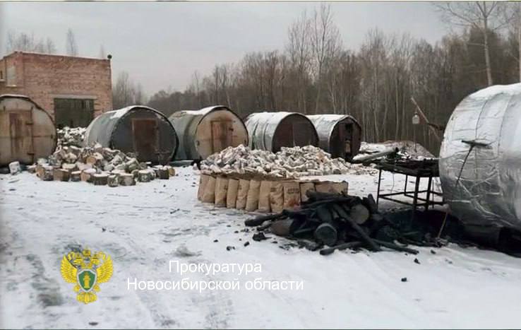 «Черным» лесорубам вынесли приговор в Новосибирской области