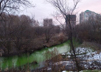 Река Каменка окрасилась в зеленый цвет в Новосибирске