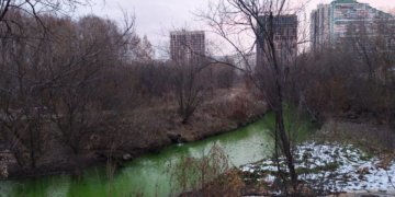 Река Каменка окрасилась в зеленый цвет в Новосибирске