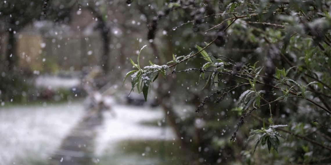 На Новосибирск надвигается снежная буря: прогноз погоды на выходные неутешителен