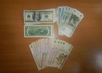 Служебная собака Ярс нашла 14 тысяч долларов у пассажира, уезжавшего из Новосибирска