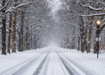 Морозный четверг: прогноз погоды на 27 ноября