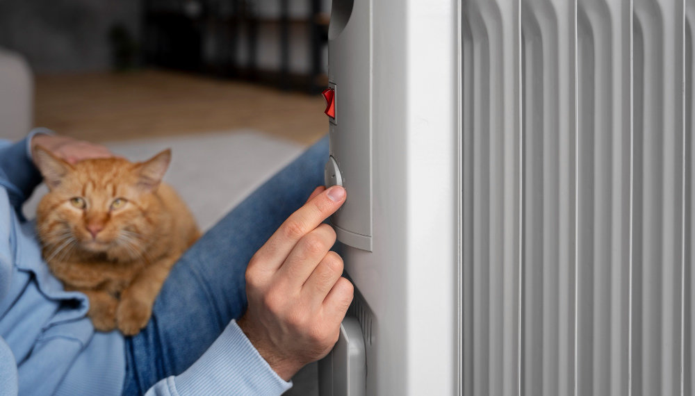 Штрафы в сфере ЖКХ ужесточат с 7 ноября в Новосибирске