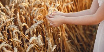 Льготное кредитование для аграриев малого бизнеса в Сибири показало рекордный рост