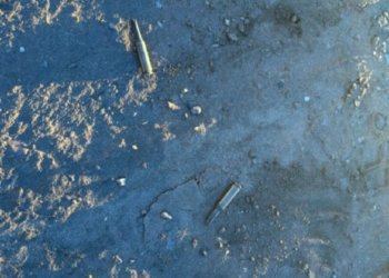 Полиция начала проверку после стрельбы на пляже в Новосибирске